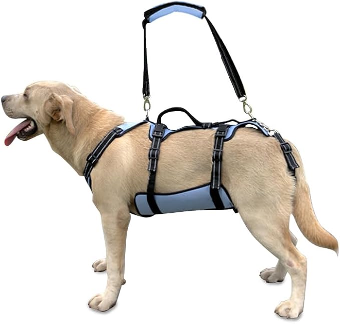 Coodeo Dog Lift Harness, Full Body Support &amp; Recovery Sling, Pet Rehabilitation Lifts Vest for Old Dog with Arthritis Walk(Bule,L)