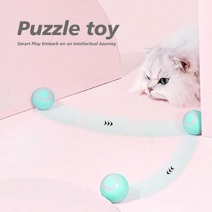 Power Ball 2.0 Interactive Cat Toy, Smart Automatic Rolling Ball for Indoor Cats, USB Charging (Pink &amp; Blue)