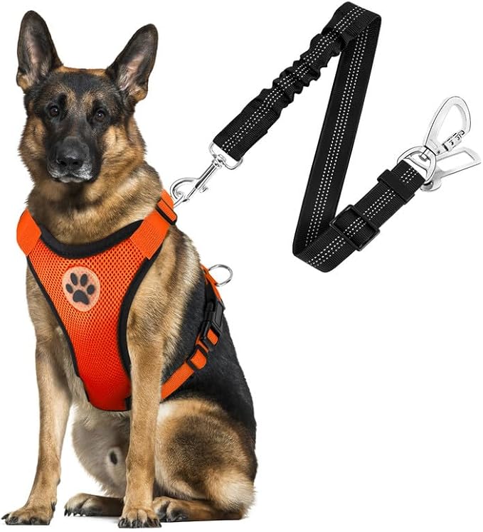 SlowTon Dog Seat Belt Harness for Car, Dog Car Harness Adjustable Mesh Breathable &amp; Dog Seatbelt Safety Tether with Elastic Bungee for Small Medium Large Pets(Orange, Double Clip, L)