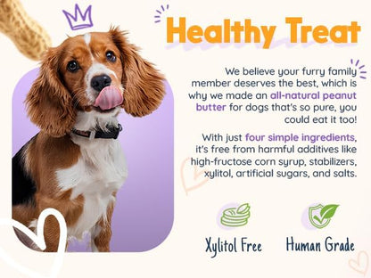 BUDDY BUDDER 6 Pack Mixed Flavor Squeeze Packs, 100% Natural Dog Peanut Butter, Healthy Peanut Butter Dog Treats, Made in USA, (4oz Packs)
