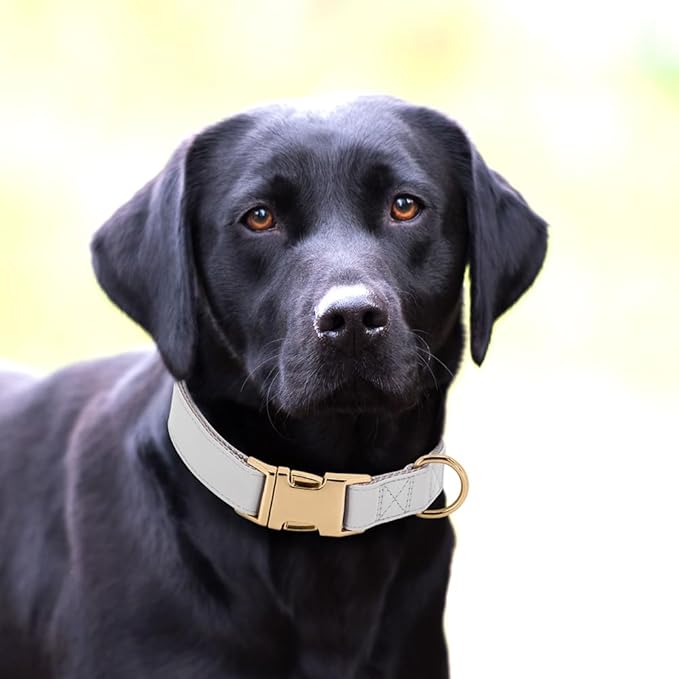 PET ARTIST Soft PU Leather Dog Collar for Medium Dogs, Bright &amp; Classic Nylon Padded Durable Dog Collar Leather with Quick Release Metal Buckle Adjustable for Male Dogs, Neck Fit 13-19"