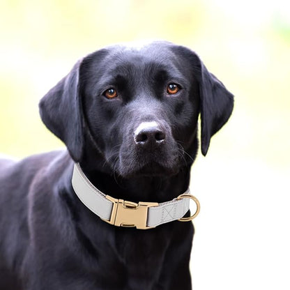 PET ARTIST Soft PU Leather Dog Collar for Medium Dogs, Bright &amp; Classic Nylon Padded Durable Dog Collar Leather with Quick Release Metal Buckle Adjustable for Male Dogs, Neck Fit 13-19"