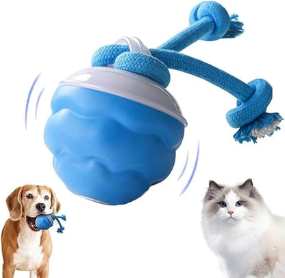 2026 New Interactive Pet Toy Ball, Smart Interactive Toy Ball for Cats &amp; Dogs, Electric Rolling Pet Toy Ball, Rechargeable Interactive Cat Toys for Bored Indoor Cats Kittens to Keep Busy (Blue)