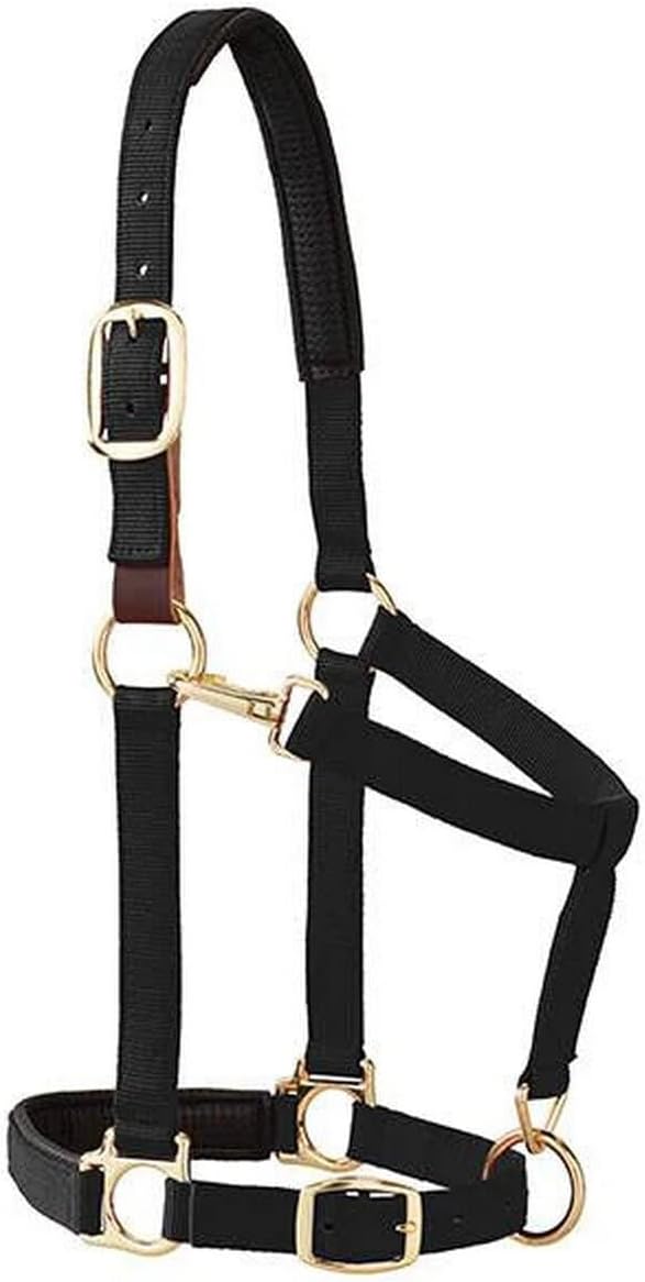 Weaver Equine Breakaway Horse Halter, Comfort Foam Padding, Adjustable Chin &amp; Throat Snap Halters for Horses, Equine Tack,Average Size, Purple