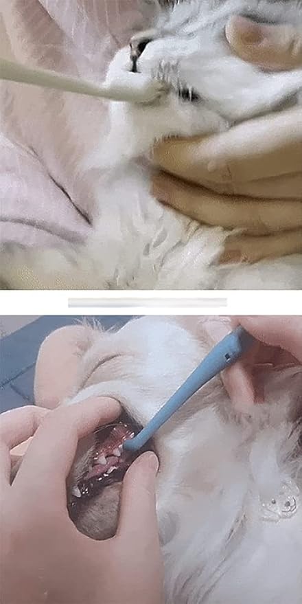 Kitteney Pet Toothbrush for Dogs, Cats with 0.06mm Super Soft Bristles, Head Replaceable, Double Headed Toothbrush for Small to Large Teeth, Easy Teeth Cleaning &amp; Dental Care (Gray)