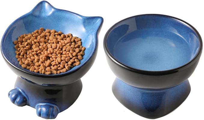 Nihow Elevated Cat/Dog Bowls Set : 6.2 Inch Ceramic Raised Cat Food &amp; Water Bowl Set for Protecting Pet&