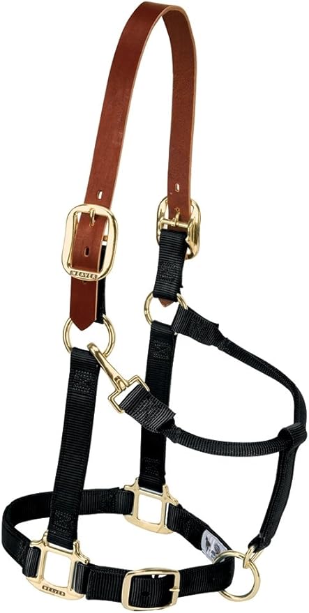 Weaver Equine Breakaway Horse Halter, Supple Leather Crown, Adjustable Chin &amp; Throat Snap Halters for Horses, Equine Tack,Pony Size, Black