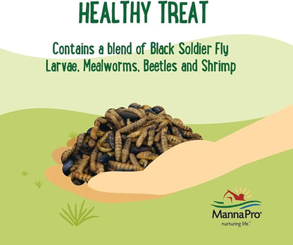Manna Pro Farmhouse Favorites Quirky Quatro Crunch – 100% Natural Protein Treat for Mixed Flocks – Blend of Black Solider Fly Larvae, Mealworms, Beetles &amp; Shrimp – 2lb