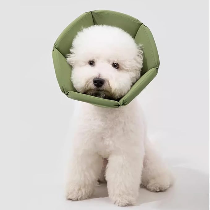 Cat Cone Collar - Soft Waterproof Elizabethan for Cats, Cute Green Flower Anti-Lick Recovery Collar, Adjustable Healing Collar for Wound Care &amp; Surgery，L