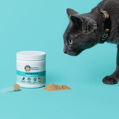Under the Weather Pet Probiotics Powder for Cats | Vet Formulated Probiotic Supplement for Digestive Gut Health | Promotes Good Digestion &amp; Immunity | Aids Occasional Diarrhea for Cats (2.54 Oz)