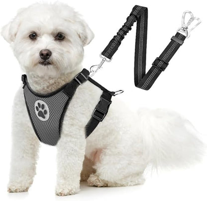 SlowTon Dog Seat Belt Harness for Car, Dog Car Harness Adjustable Mesh Breathable &amp; Dog Seatbelt Safety Tether with Elastic Bungee for Small Medium Large Pets(Grey, Double Clip, XXXS)