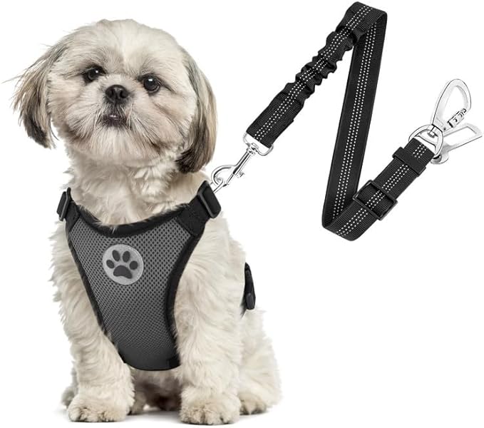 SlowTon Dog Seat Belt Harness for Car, Dog Car Harness Adjustable Mesh Breathable &amp; Dog Seatbelt Safety Tether with Elastic Bungee for Small Medium Large Pets(Grey, Double Clip, XS)