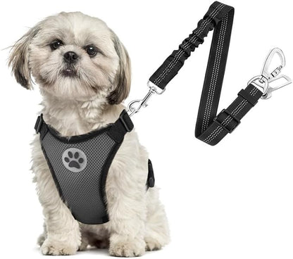 SlowTon Dog Seat Belt Harness for Car, Dog Car Harness Adjustable Mesh Breathable &amp; Dog Seatbelt Safety Tether with Elastic Bungee for Small Medium Large Pets(Grey, Double Clip, XS)