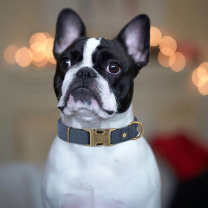 PET ARTIST Dog Collars for Medium Dogs, Soft Padded Premium Nylon Dog Collar with Quick Release Metal Buckle, Durable &amp; Adjustable Pet Collars for Boy Gifts, Blue, M (Fit 13-20")