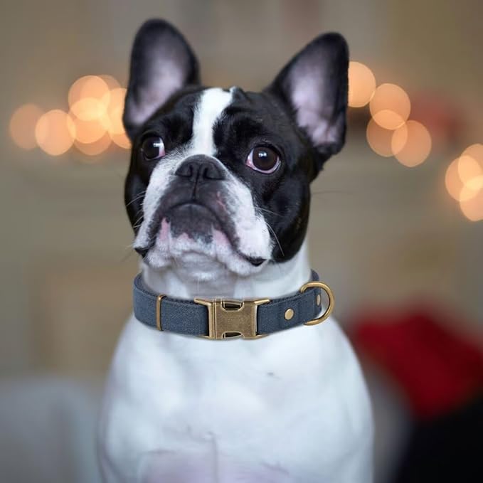 PET ARTIST Dog Collar for Large Dogs, Soft Padded Premium Nylon Dog Collar with Quick Release Metal Buckle, Durable &amp; Adjustable Pet Collars for Boy Gifts, Blue, L (Fit 15-22")