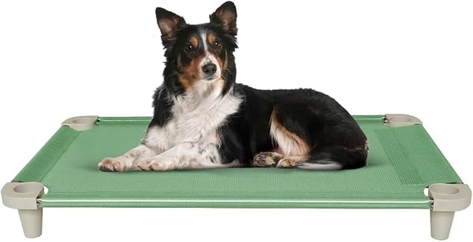 Acrimet Cooling Elevated Pet Dog Bed, Washable and Breathable Mesh Cot, Stainless Steel Frame, Indoor &amp; Outdoor Use, fits Dogs up to 110 lbs (Size: 40” x 24”), Green, 1 Unit