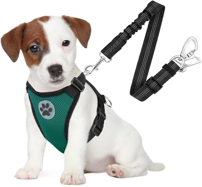 SlowTon Dog Seat Belt Harness for Car, Dog Car Harness Adjustable Mesh Breathable &amp; Dog Seatbelt Safety Tether with Elastic Bungee for Small Medium Large Pets(Green, Double Clip, S)