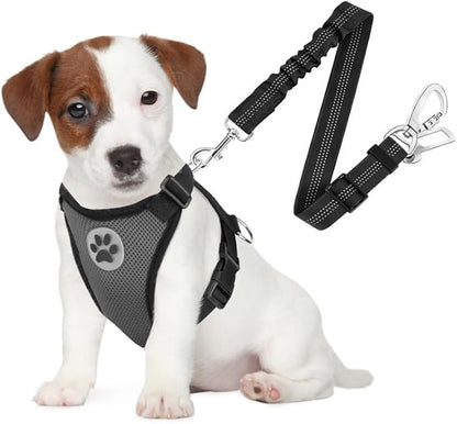 SlowTon Dog Seat Belt Harness for Car, Dog Car Harness Adjustable Mesh Breathable &amp; Dog Seatbelt Safety Tether with Elastic Bungee for Small Medium Large Pets(Grey, Double Clip, S)
