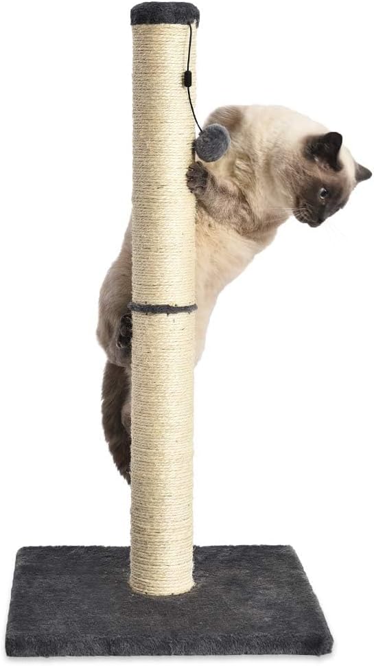 Amazon Basics Cat Scratcher - Indoor Classic Single Cat &amp; Kittens Scratching Post, Medium (31.5"H) - Grey