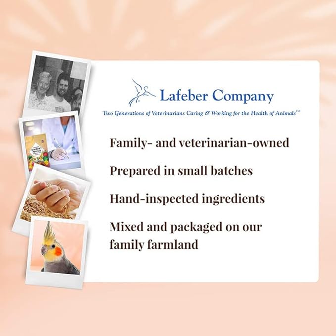 LAFEBER&