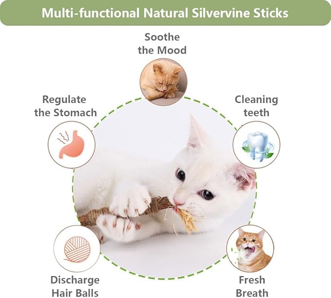 5 PCS Silvervine Sticks for Cats - Natural Cat Chew Toys for Teeth Cleaning, Kitten Teething &amp; Aggressive Chewers