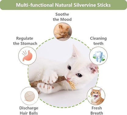 5 PCS Silvervine Sticks for Cats - Natural Cat Chew Toys for Teeth Cleaning, Kitten Teething &amp; Aggressive Chewers