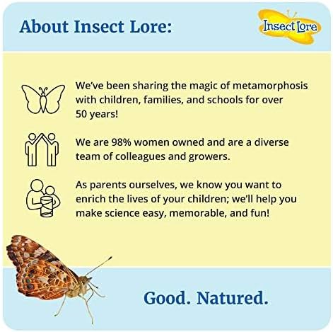 Insect Lore Bug Camp Bundle | Butterfly Kit with 1 Cup Live Caterpillars | Ladybug Land with 1 Tube Live Larvae | Ant Mountain with 1 Tube Live Western Harvester Ants | Life Cycle Figurines &amp; More