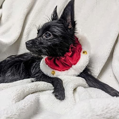 Huxley &amp; Kent Ruff Pet Scrunchy | Santa (Medium) | Festive Christmas/Holiday Neckwear for Dogs/Cats | Fun Stretchable Costume Accessory | Soft Collar with Bells