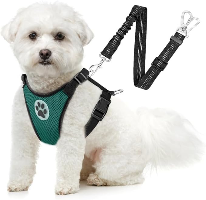 SlowTon Dog Seat Belt Harness for Car, Dog Car Harness Adjustable Mesh Breathable &amp; Dog Seatbelt Safety Tether with Elastic Bungee for Small Medium Large Pets(Green, Double Clip, XXXS)