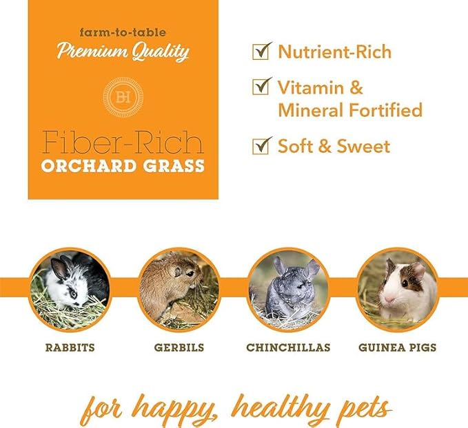 Bunny Honey Orchard Grass Hay for Guinea Pigs, Rabbits, Hamsters &amp; Small Pets Fresh, High-Fiber, Supports Digestive Health &amp; Dental Care, Non-Blended &amp; Fresh Cut