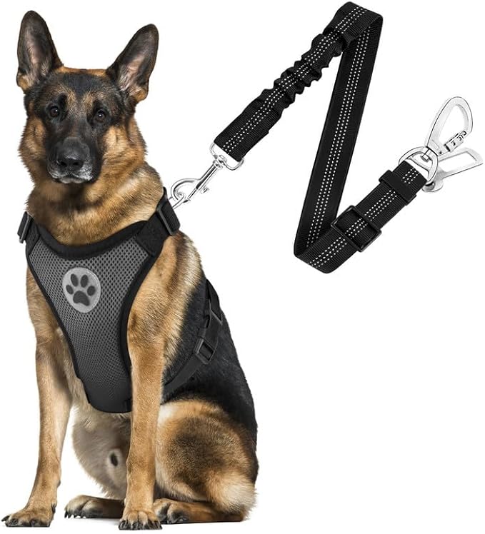 SlowTon Dog Seat Belt Harness for Car, Dog Car Harness Adjustable Mesh Breathable &amp; Dog Seatbelt Safety Tether with Elastic Bungee for Small Medium Large Pets(Grey, Double Clip, L)