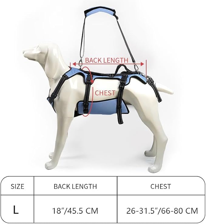 Coodeo Dog Lift Harness, Full Body Support &amp; Recovery Sling, Pet Rehabilitation Lifts Vest for Old Dog with Arthritis Walk(Bule,L)