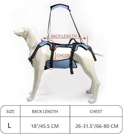 Coodeo Dog Lift Harness, Full Body Support &amp; Recovery Sling, Pet Rehabilitation Lifts Vest for Old Dog with Arthritis Walk(Bule,L)