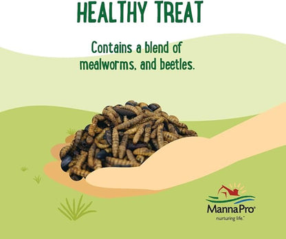 Manna Pro Farmhouse Favorites Beetle Bliss Poultry Treat – Blend of Mealworms and Beetles – All Natural Treat for Chickens, Ducks, Geese, Turkeys, &amp; Guinea Fowl – 45% Protein – 25oz