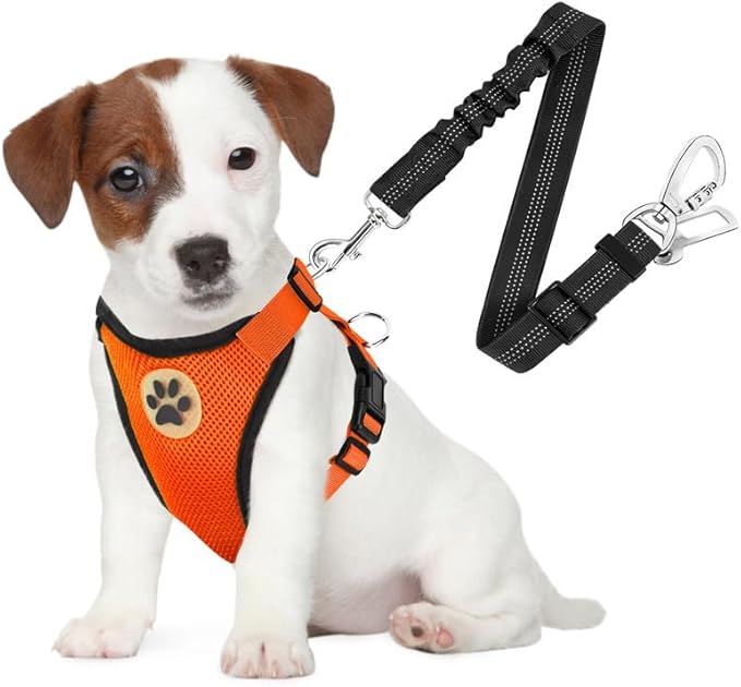 SlowTon Dog Seat Belt Harness for Car, Dog Car Harness Adjustable Mesh Breathable &amp; Dog Seatbelt Safety Tether with Elastic Bungee for Small Medium Large Pets(Orange, Double Clip, S)