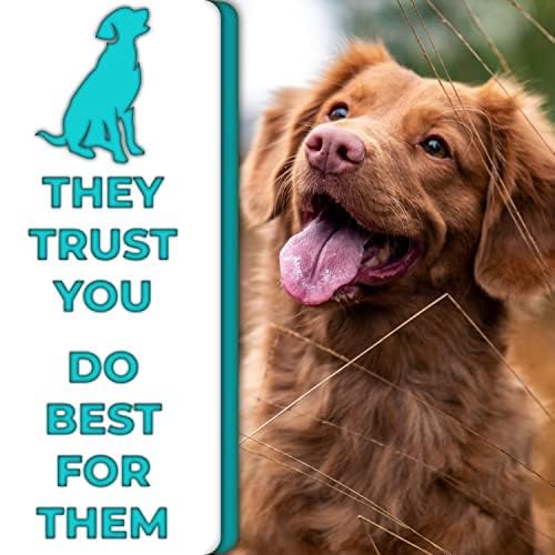 H&amp;H Pets 2-in-1 Grooming Brush for Dogs &amp; Cats - Pin Slicker and Bristle Brush Combo, Perfect for Pet Hair Grooming