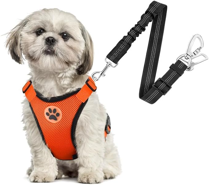 SlowTon Dog Seat Belt Harness for Car, Dog Car Harness Adjustable Mesh Breathable &amp; Dog Seatbelt Safety Tether with Elastic Bungee for Small Medium Large Pets(Orange, Double Clip, XS)