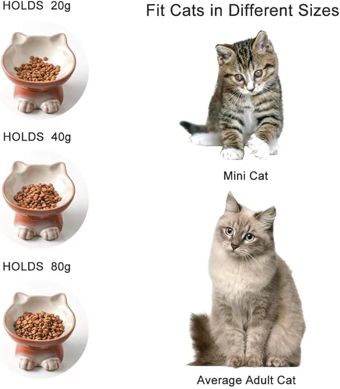 Nihow Elevated Cat/Dog Bowls Set : 5 Inch Ceramic Raised Cat Food &amp; Water Bowl Set for Protecting Pet&