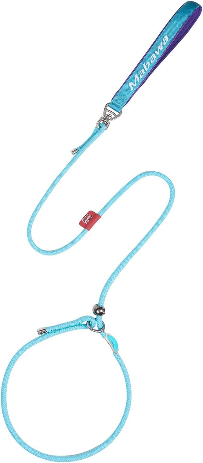 Dog Anti-Slip Leash 5FT with Metal Stopper - Durable No-Pull Training Lead for Small, Medium &amp; Large Dogs - Comfortable Handle Nylon Rope, Tangle-Free Pet Walking Leash (Lake Blue, 5.6FT)