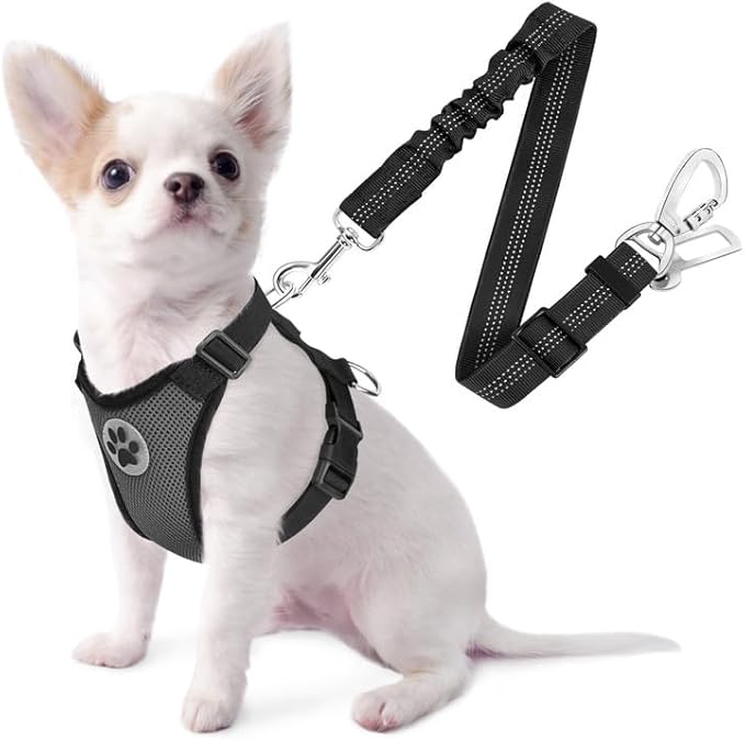 SlowTon Dog Seat Belt Harness for Car, Dog Car Harness Adjustable Mesh Breathable &amp; Dog Seatbelt Safety Tether with Elastic Bungee for Small Medium Large Pets(Grey, Double Clip, XXS)