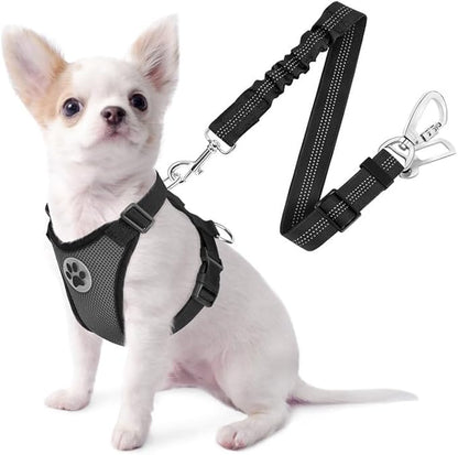 SlowTon Dog Seat Belt Harness for Car, Dog Car Harness Adjustable Mesh Breathable &amp; Dog Seatbelt Safety Tether with Elastic Bungee for Small Medium Large Pets(Grey, Double Clip, XXS)