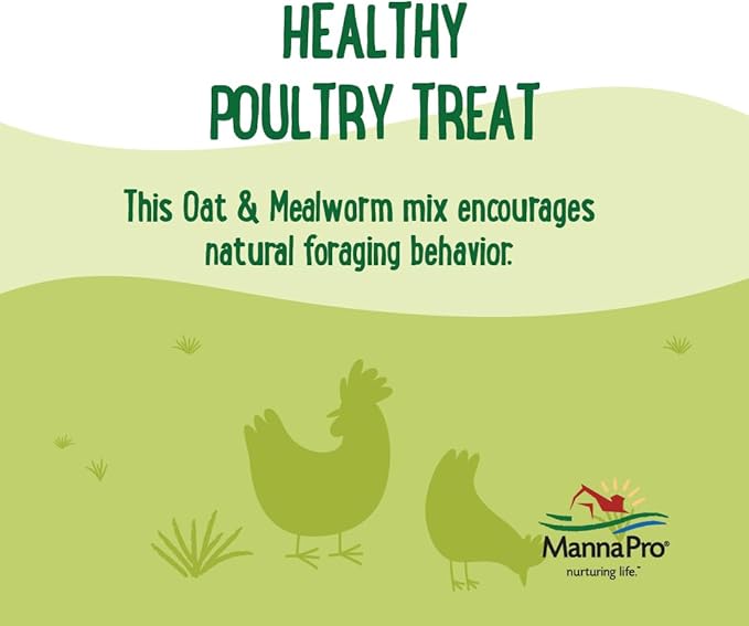 Manna Pro Farmhouse Favorites Oat &amp; Mealworm Mix Poultry Treat – Natural Protein Source – Encouraging Poultry Treat – Mix of Oats, Peanuts, Raisins, Mealworms, Sunflower Kernels – 2lbs