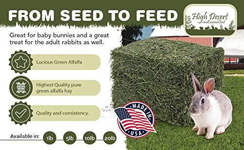 High Desert Alfalfa Hay for Rabbits, Guinea Pigs, Chinchillas &amp; Small Pets – Protein-Rich Natural Hay for Young, Growing Animals – High-Fiber, Hand-Packed, Additive-Free, Grown in USA – 5 lb Box