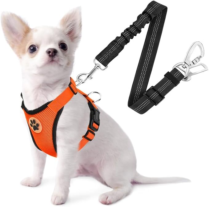 SlowTon Dog Seat Belt Harness for Car, Dog Car Harness Adjustable Mesh Breathable &amp; Dog Seatbelt Safety Tether with Elastic Bungee for Small Medium Large Pets(Orange, Double Clip, XXS)