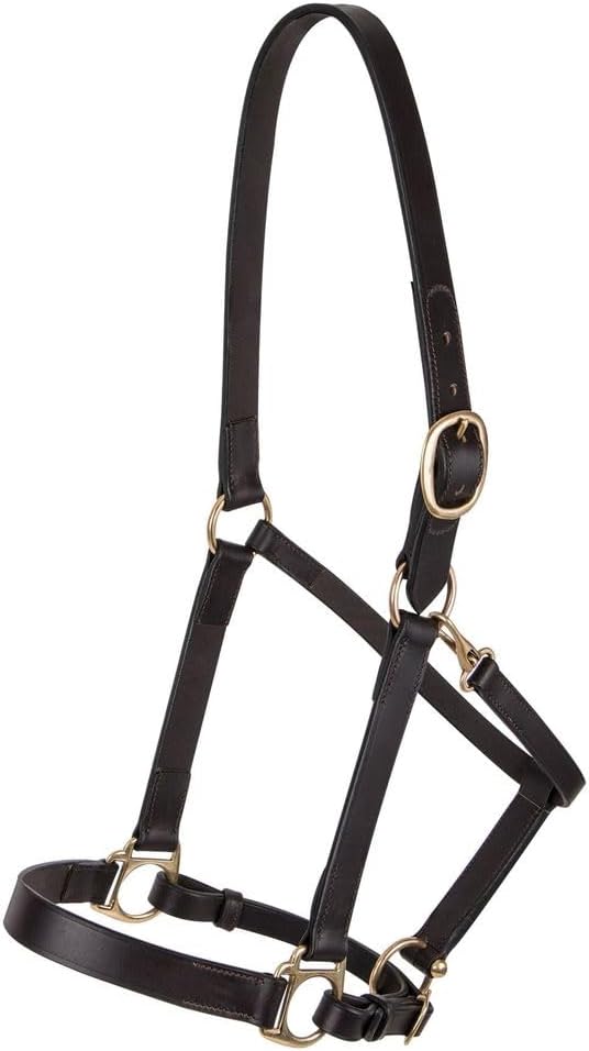 Dura-Tech Premier Lancaster Leather Halter for Horses | Simple Economy Leather Halter with Adjustable Fit &amp; Solid Brass Hardware