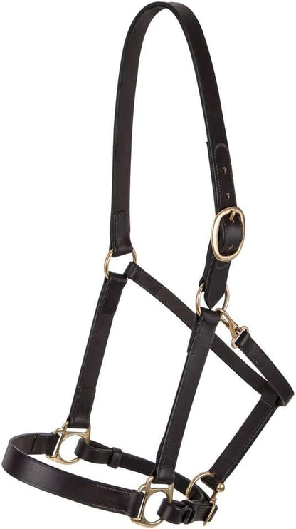 Dura-Tech Premier Lancaster Leather Halter for Horses | Simple Economy Leather Halter with Adjustable Fit &amp; Solid Brass Hardware