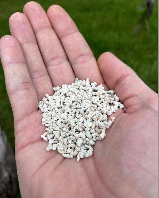 LitChicks’ Calcified Seaweed for Laying Chickens - Crushed Oyster Shell Alternative - Highly Digestible - Single Ingredient - Helps with Egg Laying &amp; Flock Health. (5lbs)