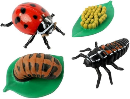 Insect Lore Bug Camp Bundle | Butterfly Kit with 1 Cup Live Caterpillars | Ladybug Land with 1 Tube Live Larvae | Ant Mountain with 1 Tube Live Western Harvester Ants | Life Cycle Figurines &amp; More