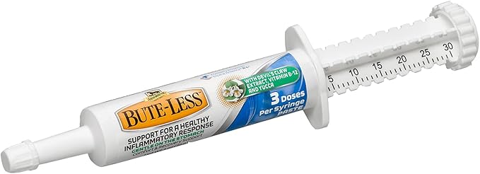 Absorbine Bute-Less Long-Term Horse Comfort &amp; Recovery Supplement Paste, Gentle on Stomach, Devil’s Claw, Vitamin B-12, Yucca, 1oz Syringe / 3 Doses