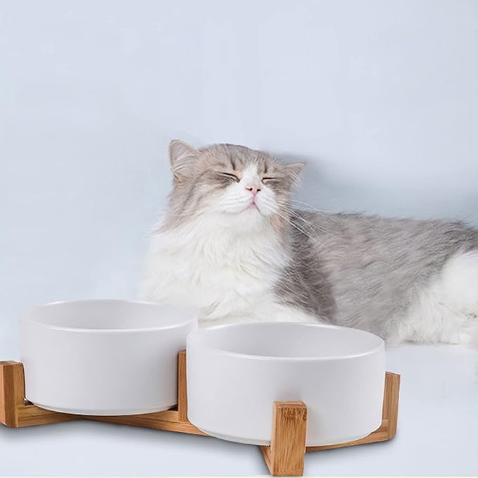 Petygooing Dog Bowls,White Ceramic Cat and Dog Bowl Set with Wood Stand for Food and Water, Non-Slip Cute Modern Pet Dish Set for Cats &amp; Medium Dogs (28OZ)